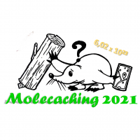 molecaching 2021