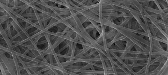 electrospun membrane