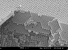 Opale artificiale (nanosfere di polistirene 222 nm di diametro)