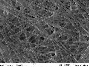 electrospun membrane